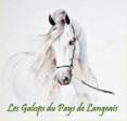 Galops au pays de Langeais