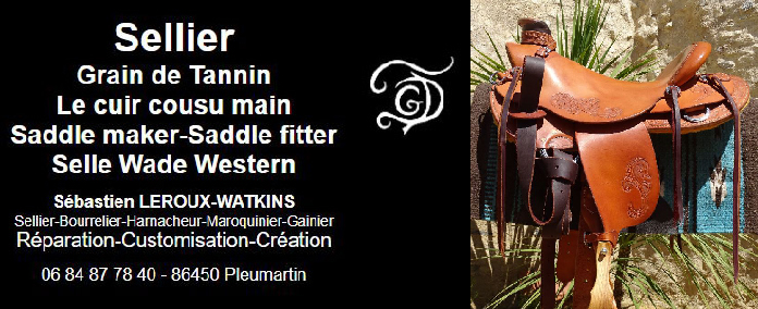 carte visite sellier Pleumartin